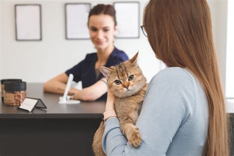  Veterinary Receptionist: 1 year (preferred) Customer Service: 1 year (required) Work Location: In person. Application deadline: 16/03/2024. Expected start date: 01/04/2024. Report job. Apply to Veterinary Receptionist jobs now hiring on Indeed.com, the worlds largest job site. 
